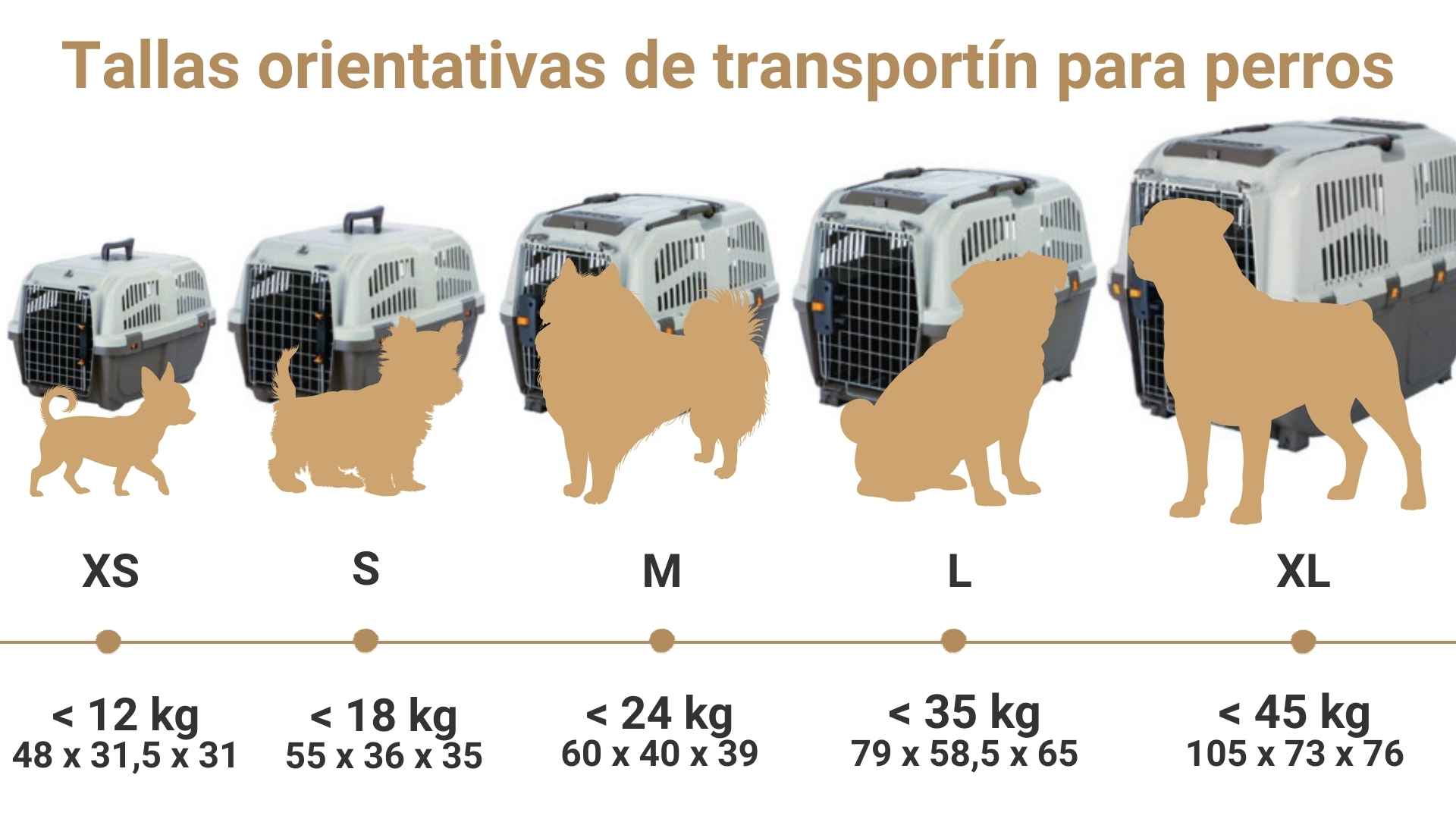 Tallas orientativas de transportin para perros